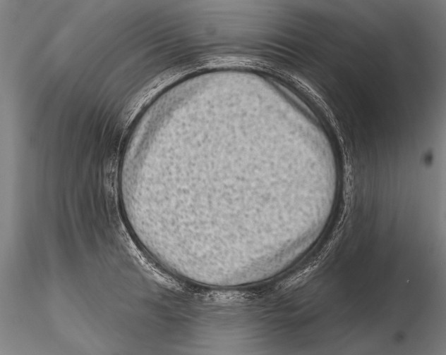 X0000115381041200912011200