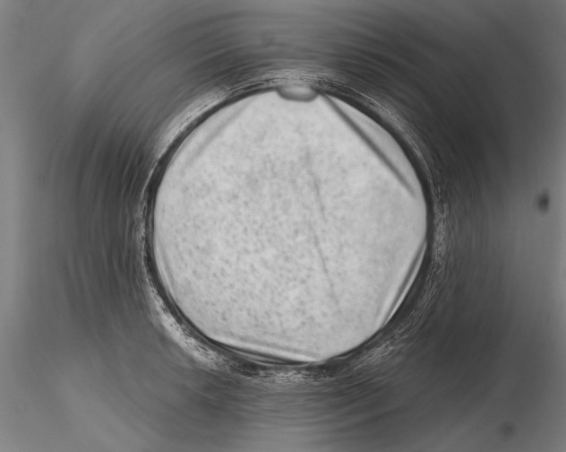 X0000115381042200912011200