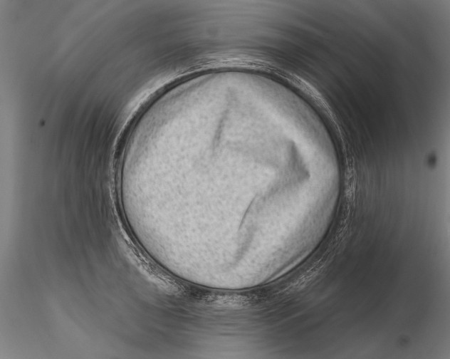 X0000115381043200912011200