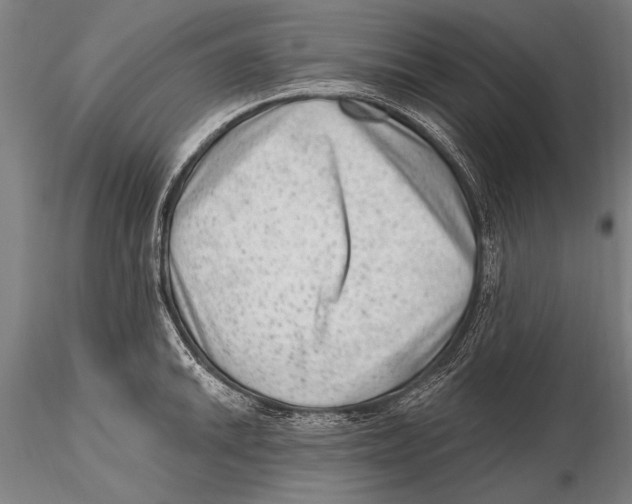 X0000115381046200912011200