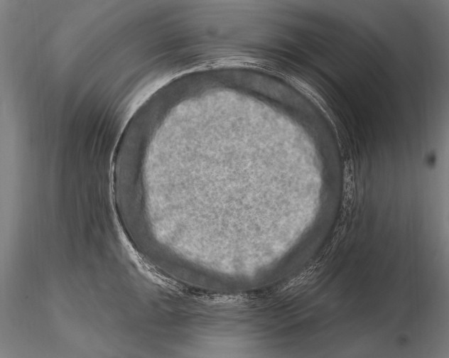 X0000115381047200912011200