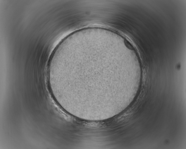 X0000115381048200912011200