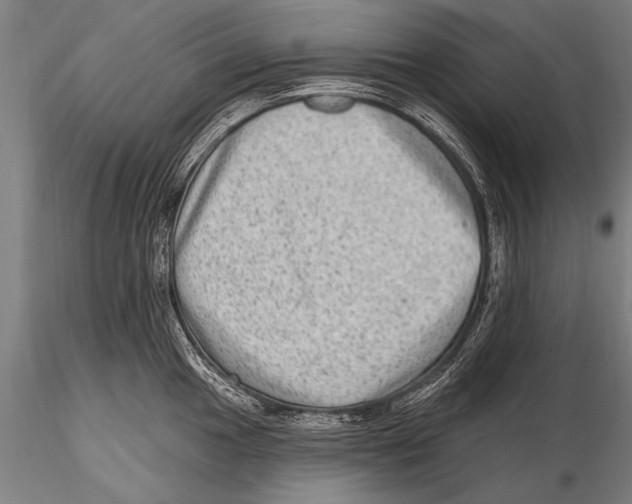 X0000115381049200912011200