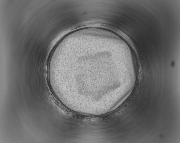 X0000115381051200912011200