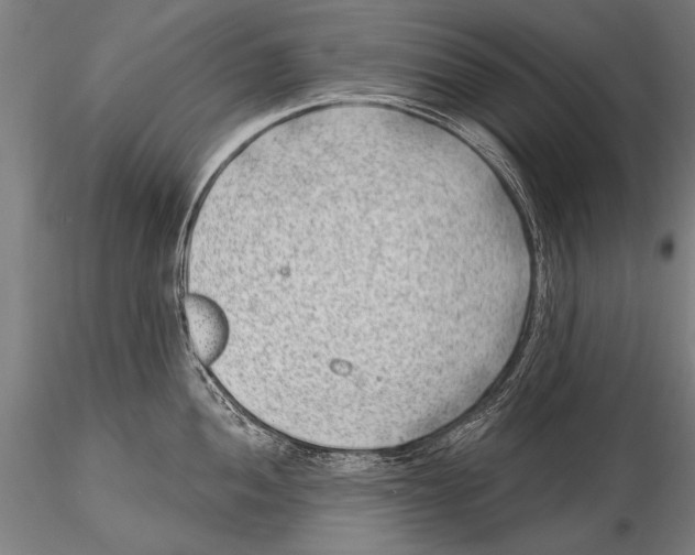 X0000115381052200912011200