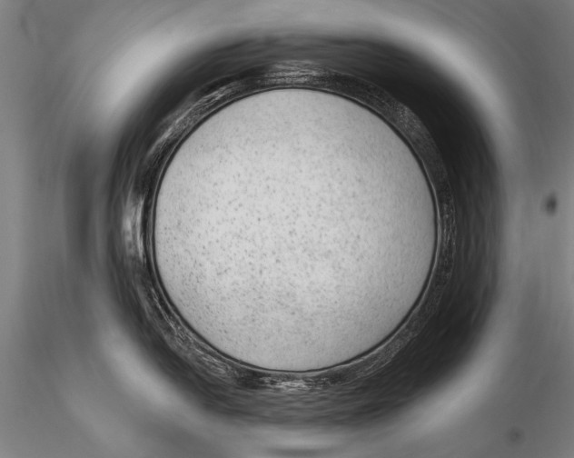 X0000115381054200912011201