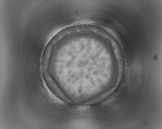 X0000115381055200912011201