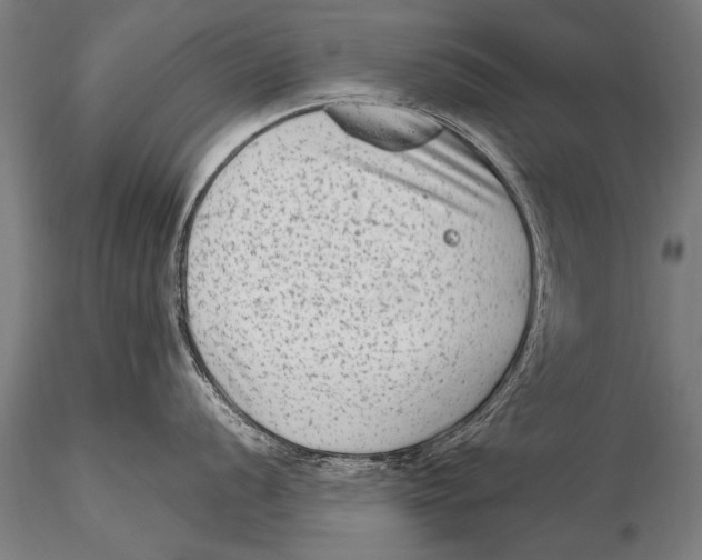 X0000115381056200912011201