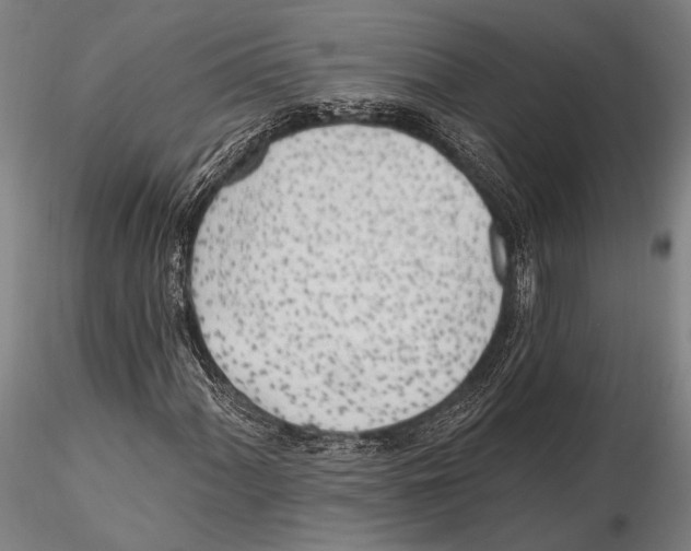 X0000115381060200912011200