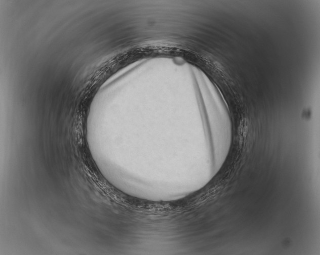 X0000115381062200912011200