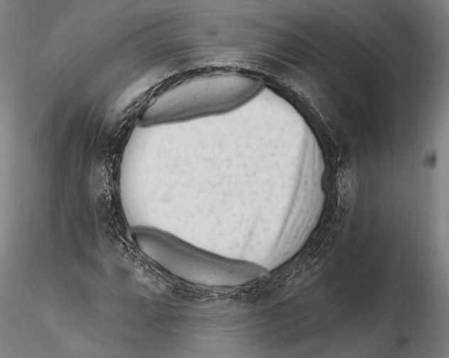 X0000115381064200912011200