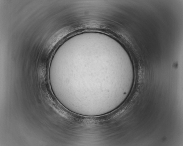 X0000115381065200912011200