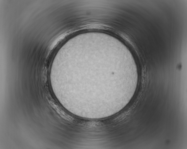 X0000115381067200912011200