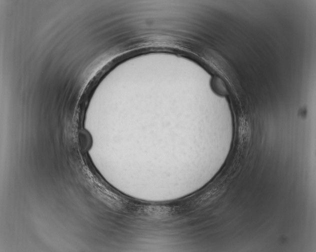 X0000115381068200912011200