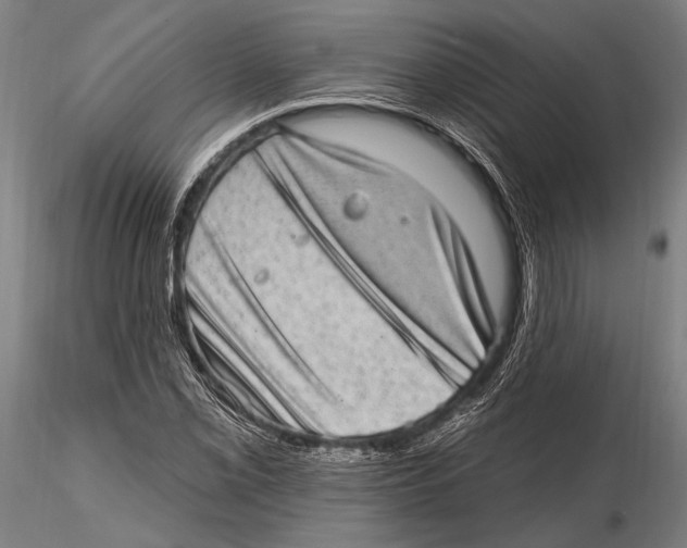 X0000115381069200912011200