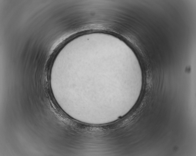 X0000115381070200912011200