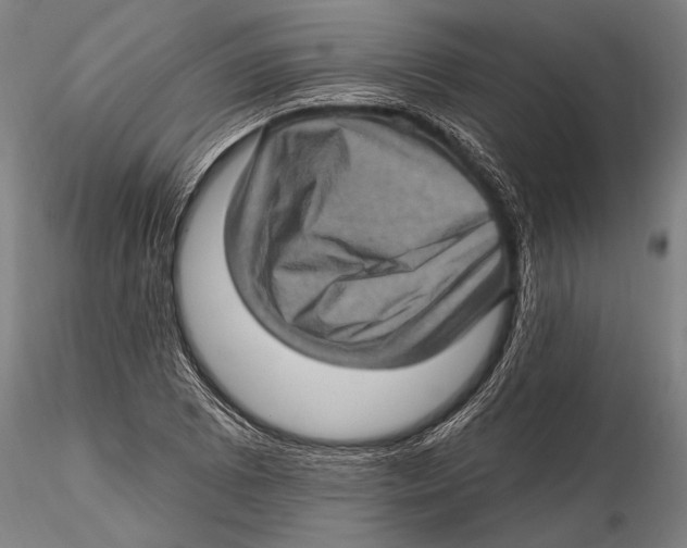 X0000115381073200912011159