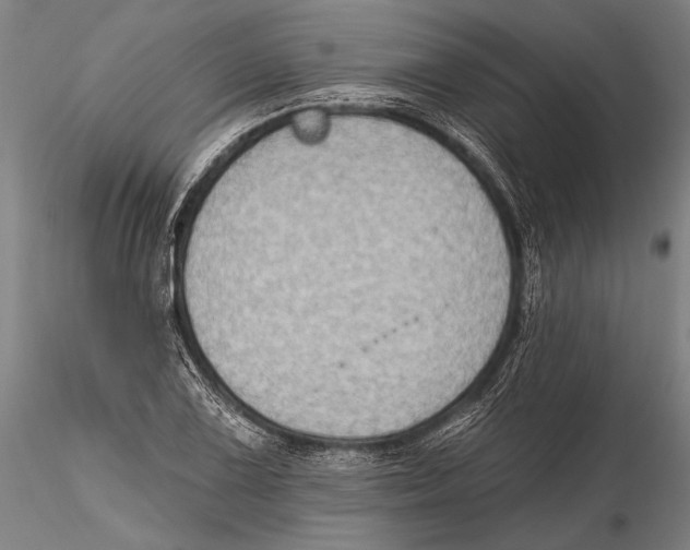 X0000115381075200912011159