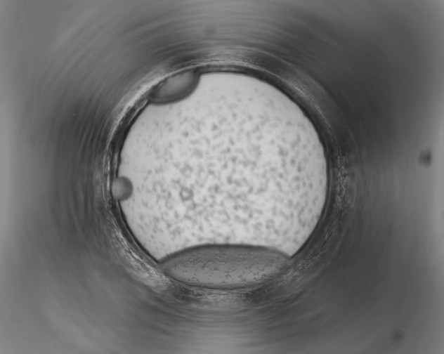 X0000115381076200912011159