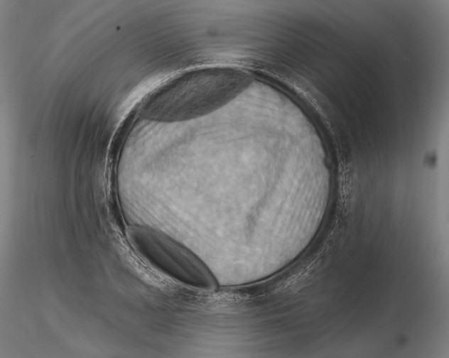 X0000115381077200912011159