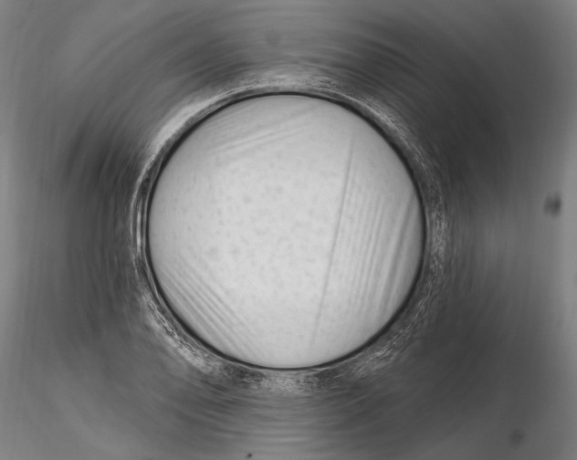 X0000115381078200912011159