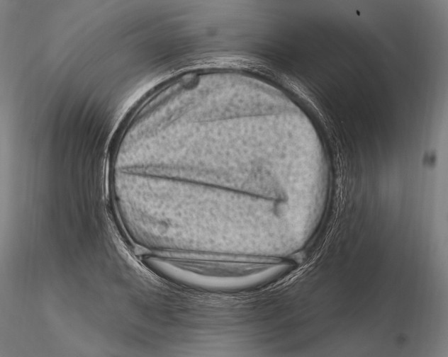 X0000115381079200912011159