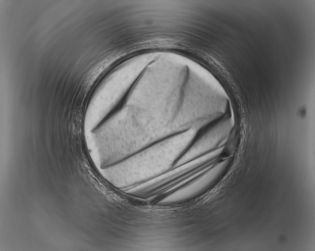 X0000115381081200912011159