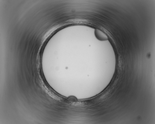 X0000115381082200912011159