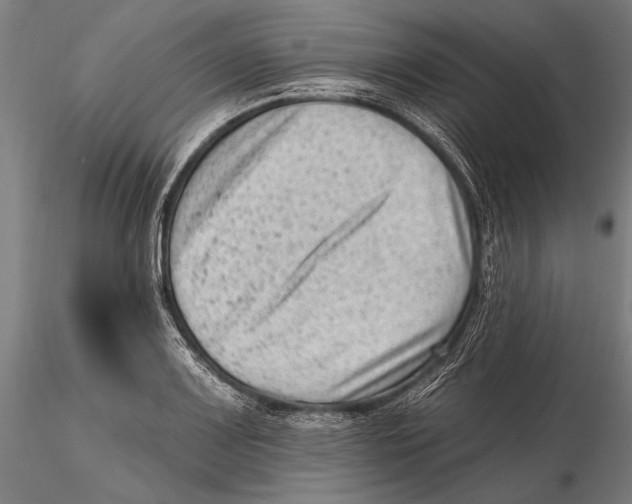 X0000115381083200912011159