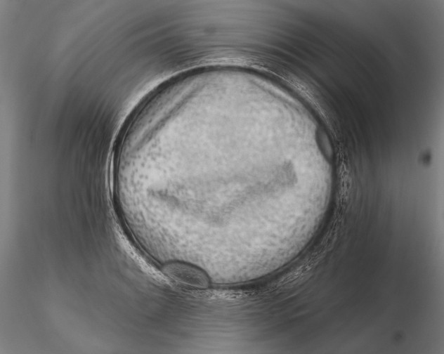 X0000115381084200912011159