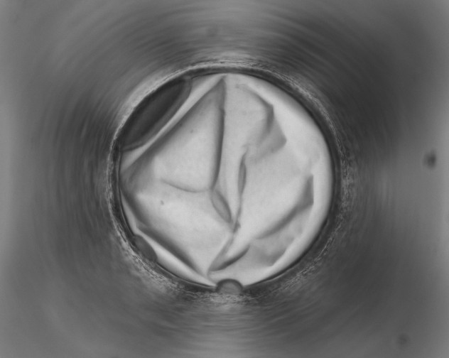 X0000115381085200912011159