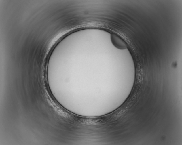 X0000115381086200912011159