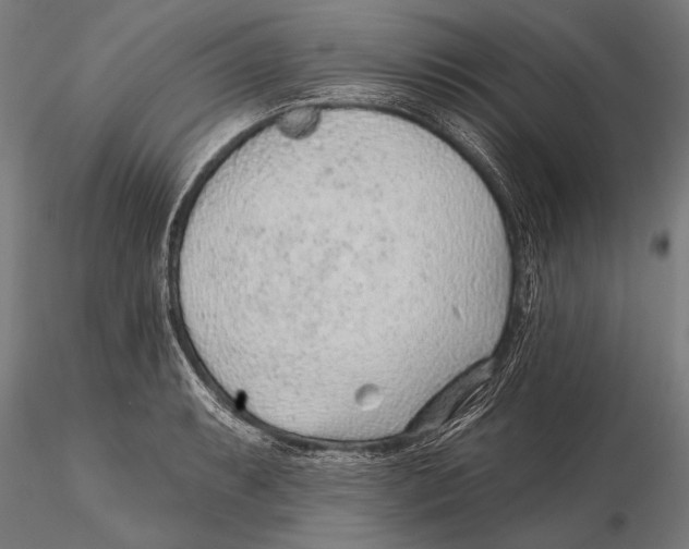 X0000115381087200912011159