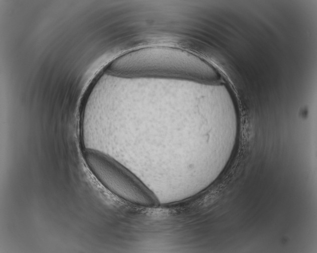 X0000115381088200912011159