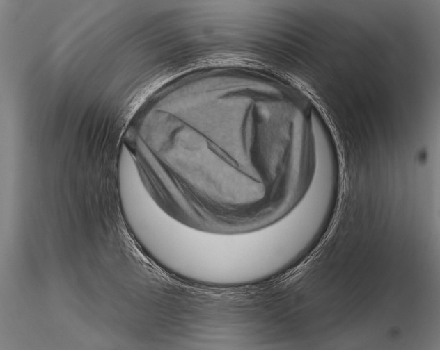 X0000115381089200912011159