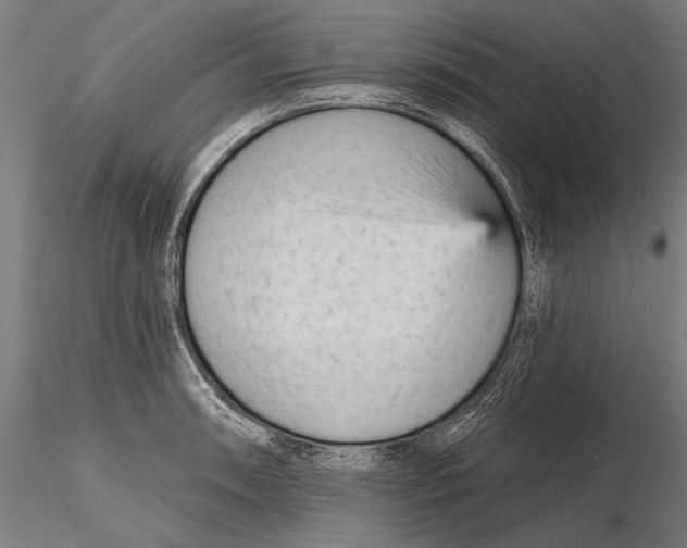 X0000115381090200912011159