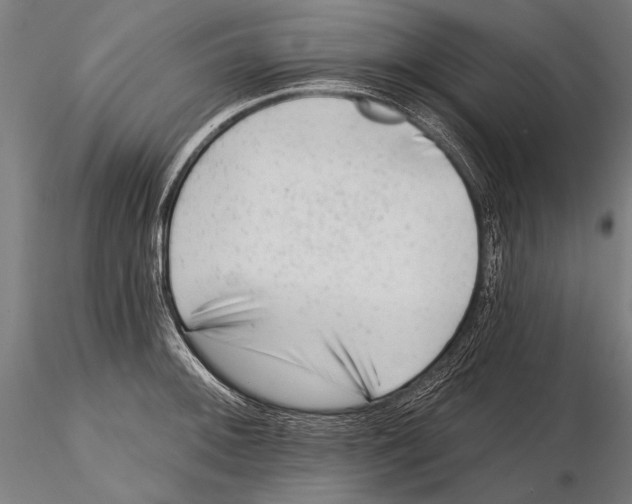 X0000115381092200912011159