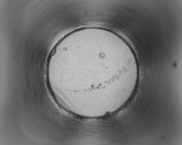 X0000115381093200912011159