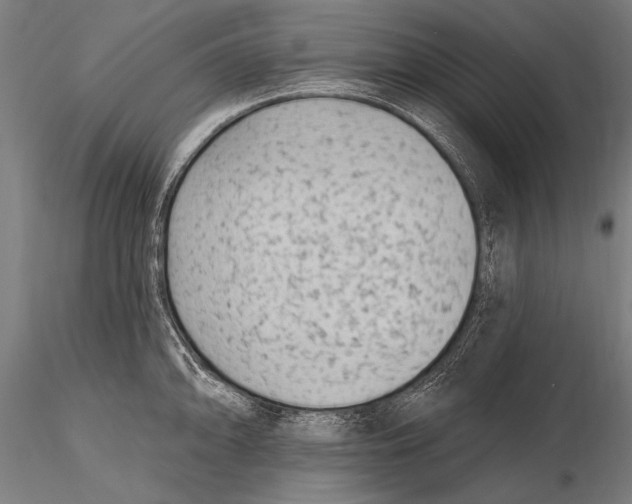 X0000115381094200912011159