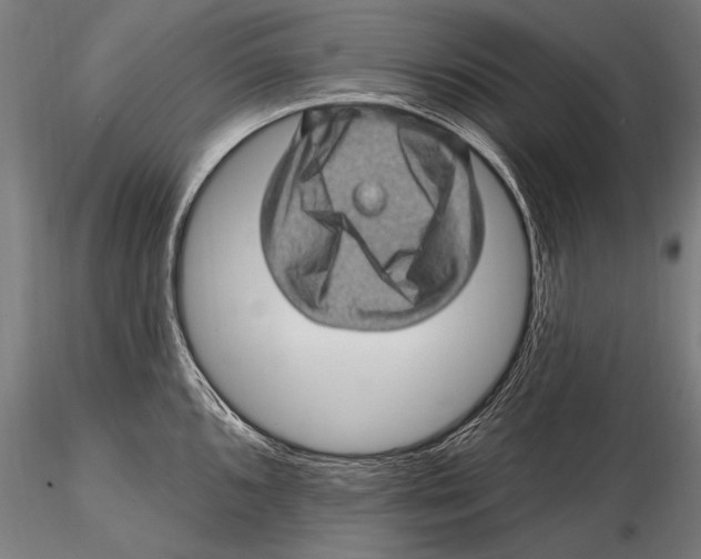 X0000115381096200912011159