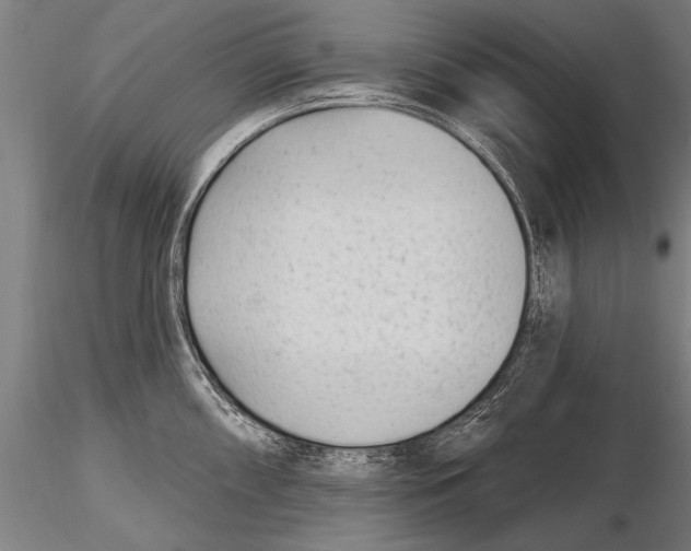 X0000115381098200912011159