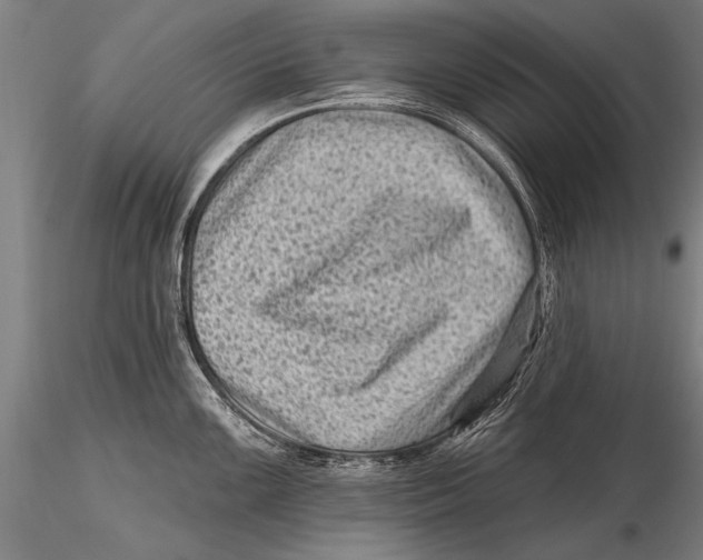 X0000115381099200912011159