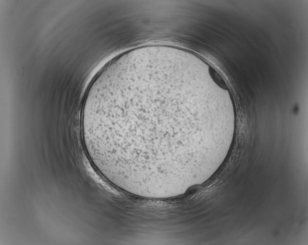 X0000115381100200912011159