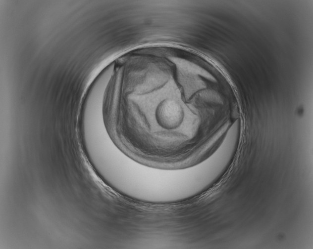 X0000115381101200912011159