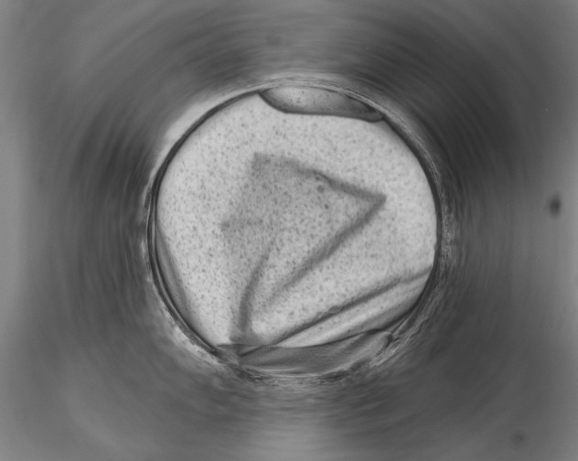 X0000115381102200912011159