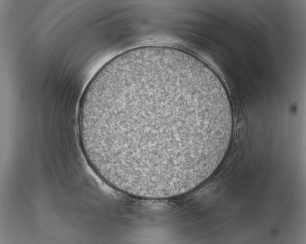 X0000115381103200912011159