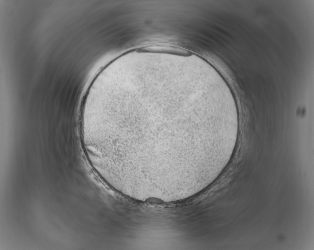 X0000115381104200912011159