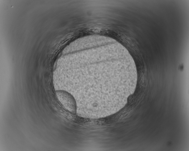 X0000115381105200912011158