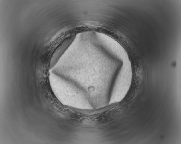 X0000115381110200912011158