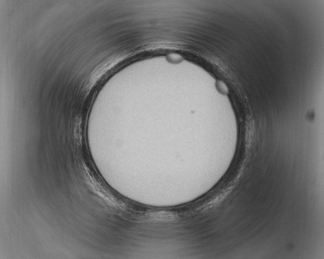 X0000115381113200912011158